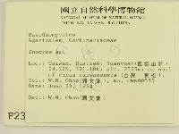 登錄號:F0002320藏品圖，第2張