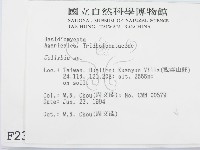 登錄號:F0002324藏品圖，第2張