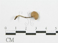 登錄號:F0002324藏品圖，第3張