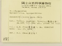 登錄號:F0002325藏品圖，第2張