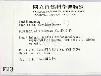 登錄號:F0002326藏品圖，第2張