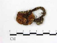 登錄號:F0002328藏品圖，第3張