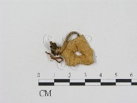 登錄號:F0002329藏品圖，第3張