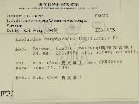 登錄號:F0002330藏品圖，第2張