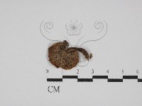 登錄號:F0002330藏品圖，第1張