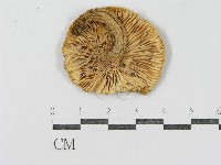 登錄號:F0002331藏品圖，第1張