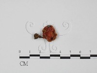 登錄號:F0002332藏品圖，第1張