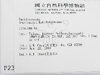 粉褶菌屬藏品圖，第2張