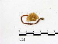 登錄號:F0002335藏品圖，第1張