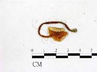 登錄號:F0002335藏品圖，第3張