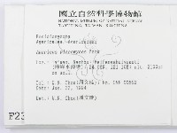 登錄號:F0002336藏品圖，第2張