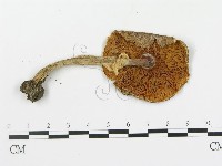 登錄號:F0002336藏品圖，第3張