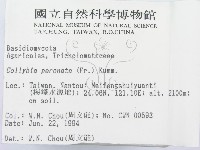 登錄號:F0002337藏品圖，第2張