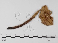 登錄號:F0002338藏品圖，第3張