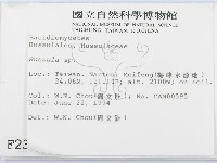 紅菇屬藏品圖，第2張