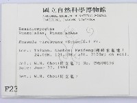 登錄號:F0002340藏品圖，第2張