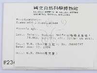 紅菇屬藏品圖，第2張