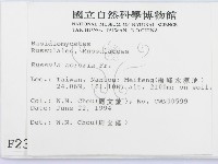 登錄號:F0002343藏品圖，第2張