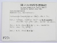 登錄號:F0002345藏品圖，第2張