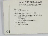 登錄號:F0002346藏品圖，第2張