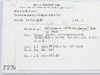登錄號:F0002348藏品圖，第2張