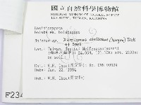 登錄號:F0002348藏品圖，第3張