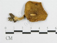 登錄號:F0002348藏品圖，第4張