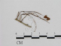 登錄號:F0002349藏品圖，第1張