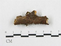 登錄號:F0002350藏品圖，第1張
