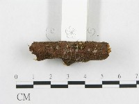 登錄號:F0002350藏品圖，第3張