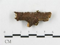 登錄號:F0002350藏品圖，第4張