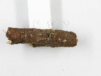 登錄號:F0002350藏品圖，第5張