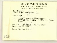 地星屬藏品圖，第2張