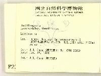 地星屬藏品圖，第2張