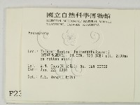 登錄號:F0002353藏品圖，第2張