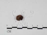 登錄號:F0002353藏品圖，第3張