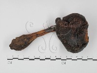 登錄號:F0002355藏品圖，第1張