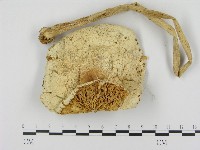 登錄號:F0002358藏品圖，第1張