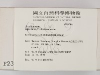 登錄號:F0002360藏品圖，第2張