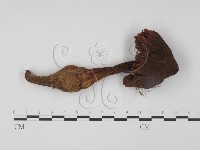 登錄號:F0002360藏品圖，第1張