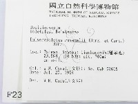 登錄號:F0002361藏品圖，第2張