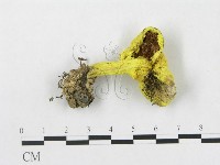 登錄號:F0002361藏品圖，第1張