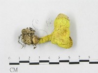 登錄號:F0002361藏品圖，第3張