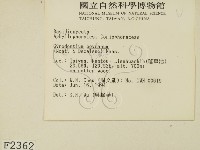 登錄號:F0002362藏品圖，第2張