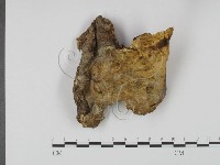 登錄號:F0002362藏品圖，第3張