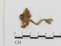 登錄號:F0002363藏品圖，第3張