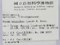 登錄號:F0002364藏品圖，第2張