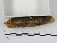 登錄號:F0002364藏品圖，第1張