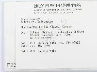 登錄號:F0002365藏品圖，第2張