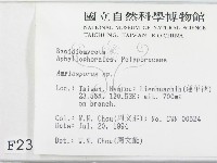 登錄號:F0002367藏品圖，第2張
